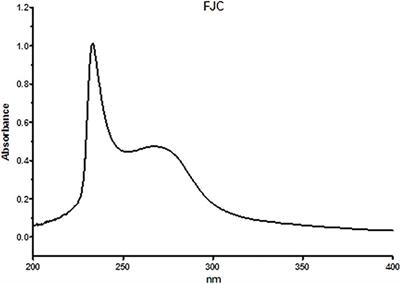 Fermented jellyfish (Rhopilema esculentum) collagen enhances antioxidant activity and cartilage protection on surgically induced osteoarthritis in obese rats